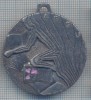 AZ 396 MEDALIE SPORTIVA - CAMPION D'ACADEMIE -ASSU - 1974 -FRANTA, Europa