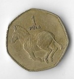Moneda 1 pula 1991 - Botswana