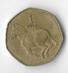 Moneda 1 pula 1991 - Botswana foto