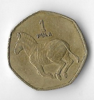 Moneda 1 pula 1991 - Botswana foto