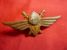 Insigna Aviator Militar - Pilot Aparat Vanatoare -Cl.I RPR ,L= 7cm foto