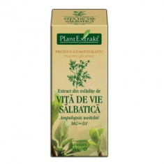 Extract din mladite de VITA DE VIE SALBATICA 50ml Plant Extrakt foto