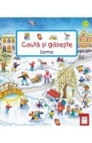 Cauta si gaseste. Iarna, Autor Anonim