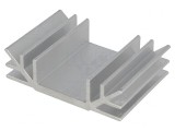 Radiator Aluminiu Extrudat 50mm x 70mm x 19mm