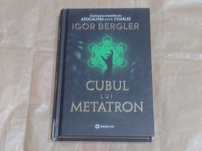 IGOR BERGLER - CUBUL LUI METATRON cartonata foto