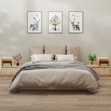 vidaXL Noptiere, 2 buc., 60x34x51 cm, lemn masiv de pin
