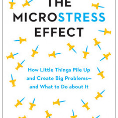 The Microstress Effect: How Little Things Pile Up and Create Big Problems--And What to Do about It