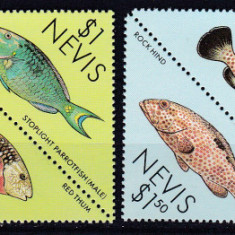 DB1 Fauna Marina Nevis Pesti 8 v. 1987 MNH