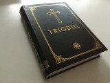 Cumpara ieftin TRIODUL EDITIA 2000 TIPARIT CU APROBAREA SF. SINOD IN ZILELE PF TEOCTIST- TEXT DIORTOSIT DE PR. PROF. ENE BRANISTE