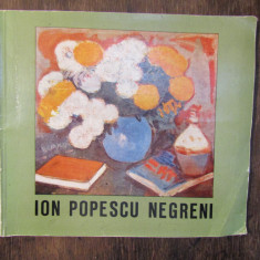 Ion Popescu Negreni - catalog expoziție pictură Muzerul de Artă 1987