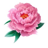 Cumpara ieftin Sticker decorativ Floare, Roz, 60 cm, 7902ST, Oem