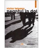 Victor Teisanu - Neantul in doi - 126578