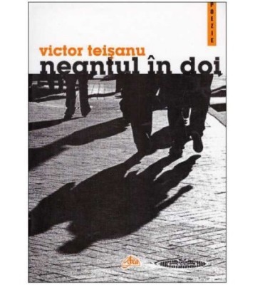 Victor Teisanu - Neantul in doi - 126578 foto