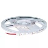 Banda LED SMD3528, 5m, 60 LED/m, 3.6W/m, 6000K, IP20, 12V, Alb Rece