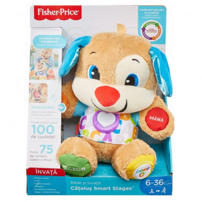 Catelusul vorbitor si educativ limba romana - Fisher Price foto