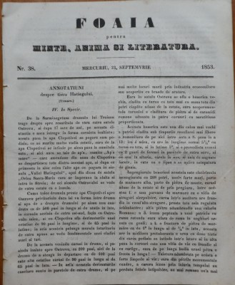 Foaia pentru minte , inima si literatura , nr. 38 , 1853 , Brasov , Muresanu foto