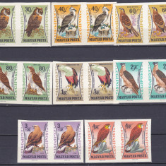 DB1 Fauna Pasari rapitoare Ungaria 19622 x 8 v. MNH NDT