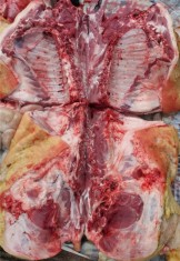 Porci de carne foto