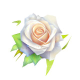 Cumpara ieftin Sticker decorativ, Trandafir, Alb, 62 cm, 8414ST, Oem