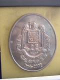 D14 8 - Placheta - tematica militara - informatii militare