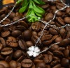 Colier din argint Sparkling Lucky ARG254, Argintboutique
