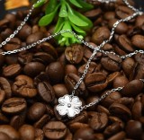 Colier din argint Sparkling Lucky ARG254, Argintboutique