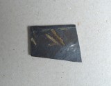 Didymograptus murchisoni graptoliti din Ordovician Tara Galilor Marea Britanie