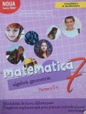 Matematica. Clasa a VII-a. Caiet de lucru (Partea a II-a) - Dragos Petrica, Paul-Cosmin Manea