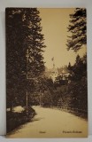 SINAIA , PELES SCHLOSS , CASTELUL PELES , CARTE POSTALA ILUSTRATA , ANII &#039;20