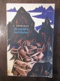 INGVALD SVINSAAS - IN UMBRA TURNULUI