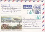 bnk ip Rusia 1994 - circulat spre Romania - francatura fauna