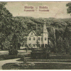 1927 - Bistrița, Promenada (jud. Bistrița-Năsăud)