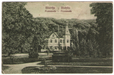 1927 - Bistrița, Promenada (jud. Bistrița-Năsăud) foto