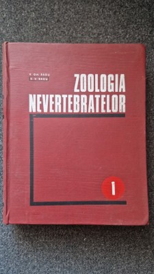 ZOOLOGIA NEVERTEBRATELOR - Radu (vol. 1) foto