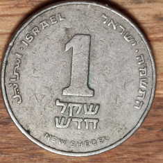Israel -moneda de colectie- 1 new Sheqel 1985 - serie rara fara punct sub stema