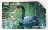 bnk card Cartele telefonice - Polonia - URMET - fauna - pasari - Black Swan - 9/10