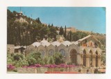 FA144 -Carte Postala - ISRAEL - Jerusalem. Getsemane Church and Garden, circulata