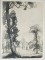 Foto  - 1