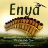 CD Shane Maguire - The Very Best Of Enya On Panpipes (VG+) Editie Rara! CD Muzica Instrumentala Enya Cover Panpipe