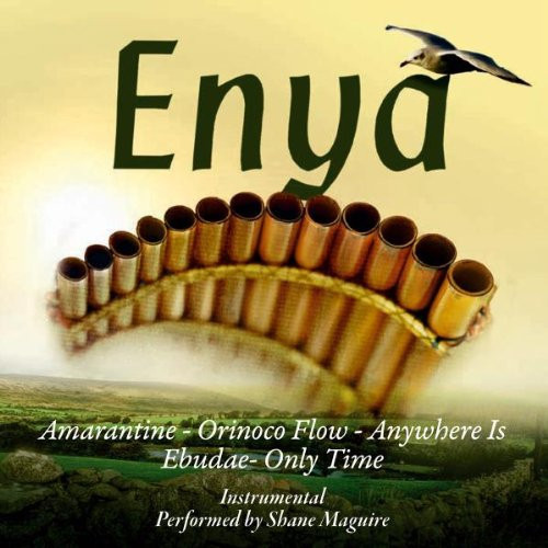 CD Shane Maguire &lrm;&ndash; The Very Best Of Enya On Panpipes (VG+)