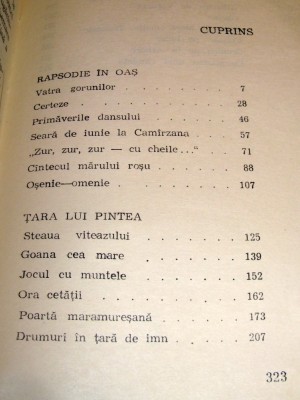 Mihai Negulescu - Arcul de miazanoapte foto