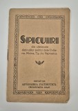 Holocaust Spicuiri din cantecele detinutilor politici Doftana Mislea Vapniarca