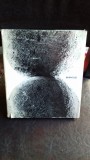 CONSTANTIN BRANCUSI - MIRCEA DEAC