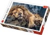 PUZZLE TREFL 1000 LEU DORMIND, TREFL 1000P