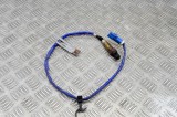 FORD FOCUS III 2013 OEM: 0258010356,0258010355,CV61-9G444-CB SKU: 17537541