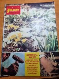 flacara 8 martie 1975-art. jud. gorj,turnu severin , orasul vaslui si tarcau