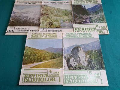 LOT 5 REVISTA PĂDURILOR / NR. 1-5*1982 * foto