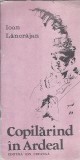 Copilarind in Ardeal - Ion Lancranjan, Editura Ion Creanga 1987, Carte Literatura Romana