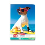 Caiet matematica Herlitz, A5, 48 file, Cool Dog