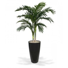 Areca gold palmier artificial H120 foto